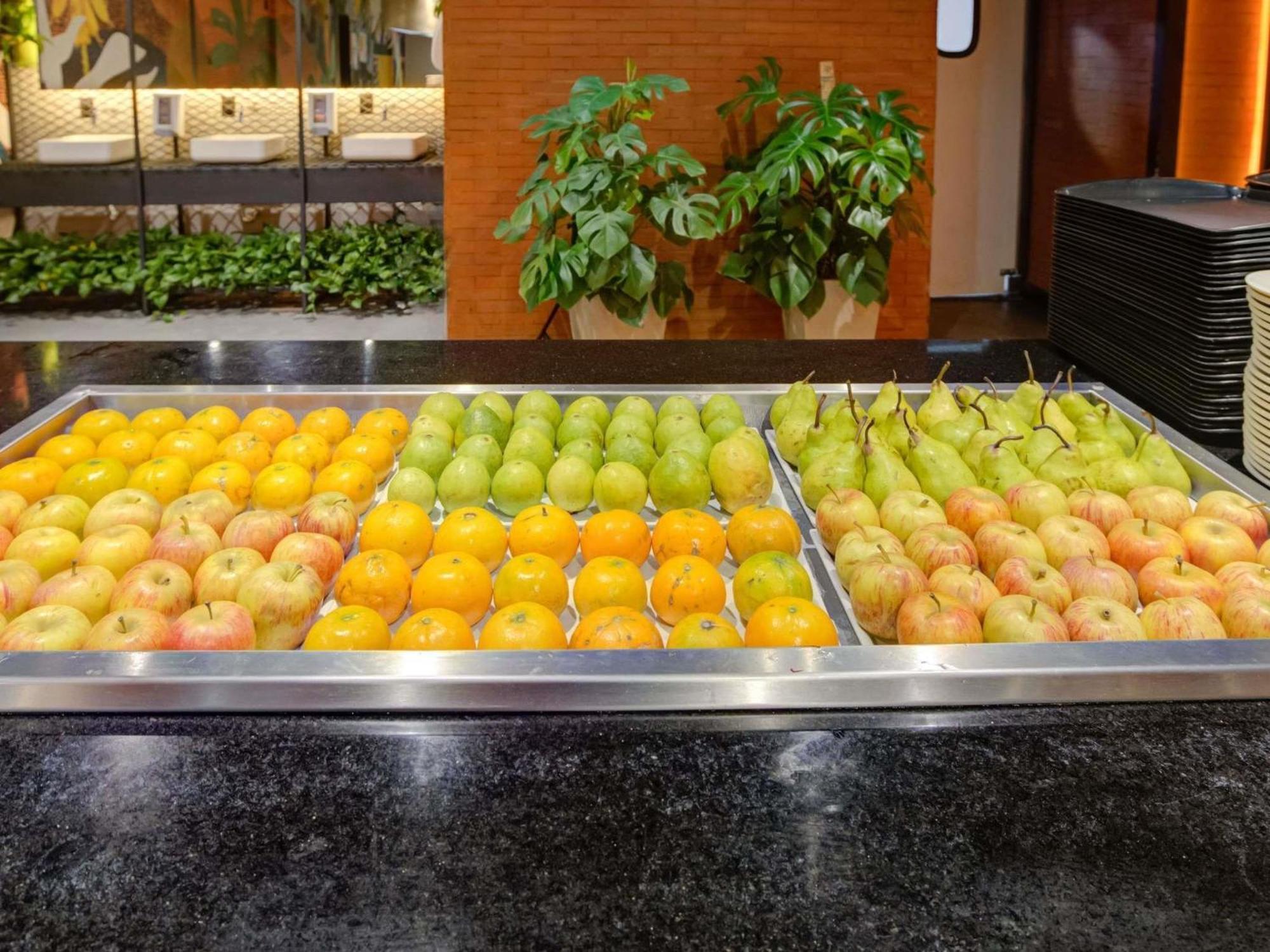 Ibis Rio De Janeiro Santos Dumont — Photos 1